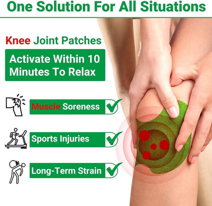 Herbal Knee Pain Relief Patches [Buy 1 Get 1 Free]